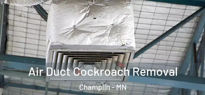 Air Duct Cockroach Removal Champlin - MN