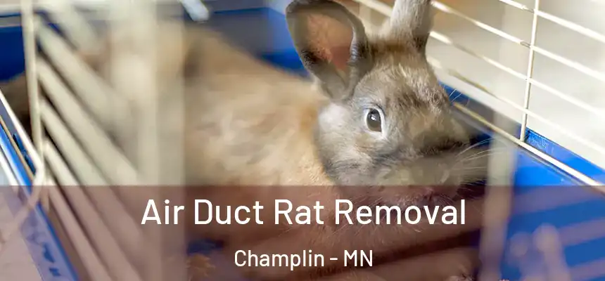  Air Duct Rat Removal Champlin - MN