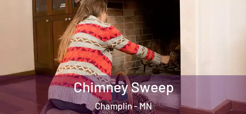  Chimney Sweep Champlin - MN