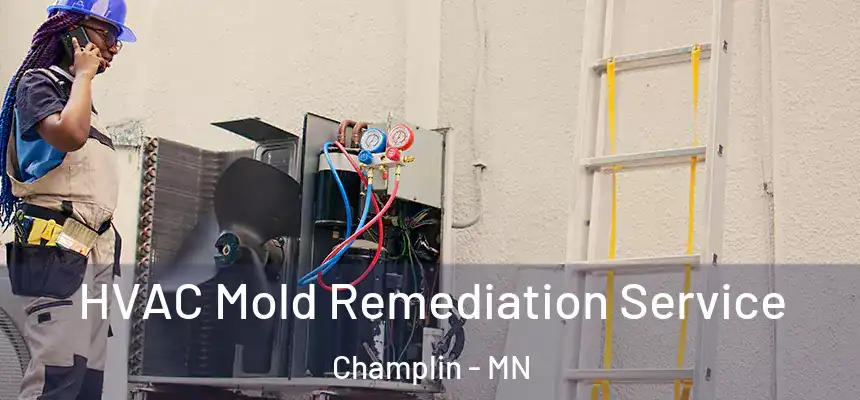  HVAC Mold Remediation Service Champlin - MN