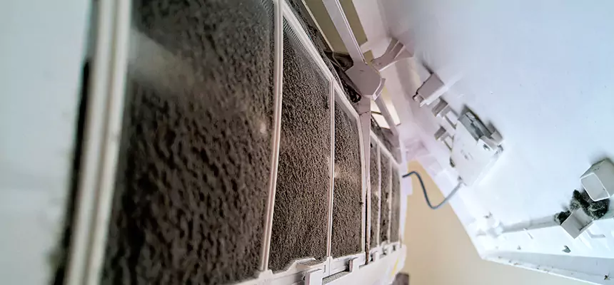 Preventive Air Duct Bacteria Removal in Champlin