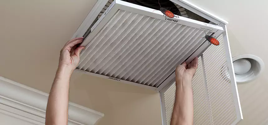 Preventive Cockroach-Proofing for Ducts in Champlin