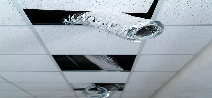 Our Air Duct Pet Hair Removal Services in Champlin, MN