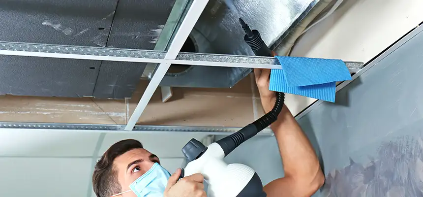 Our Air Duct Rodent Removal Services in Champlin, MN