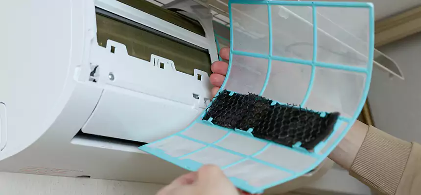 Gentle Ductwork Odor-Control Pet Dander Duct Cleaning in Champlin, MN