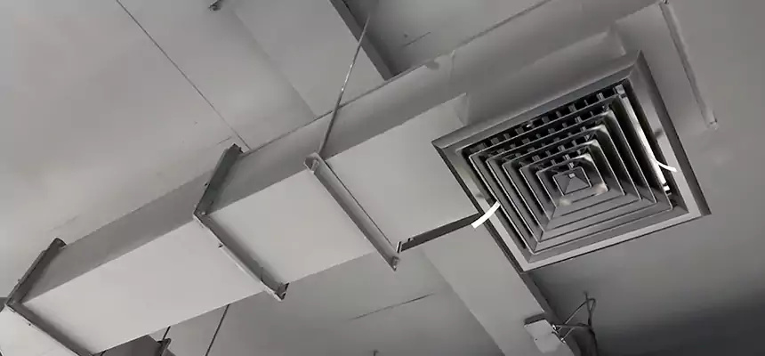 Our Rodent Droppings In Vents Services in Champlin, MN