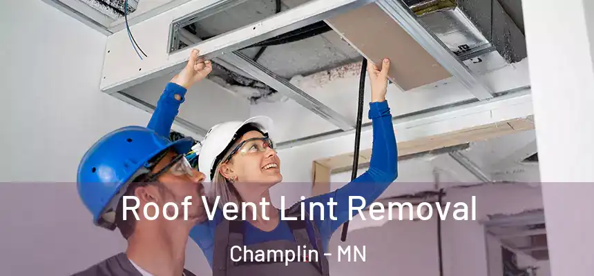 Roof Vent Lint Removal Champlin - MN