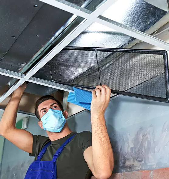 Professional Air Duct Pollen Cleaning in Champlin, MN