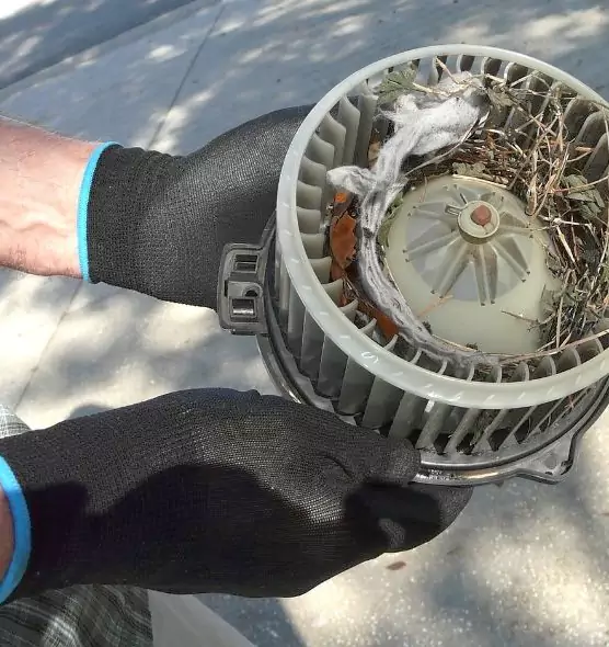 About Air Duct Rat Removal in Champlin, MN