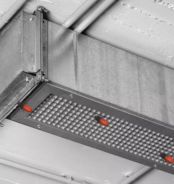 Affordable Insect Removal from Air Ducts in Champlin, MN