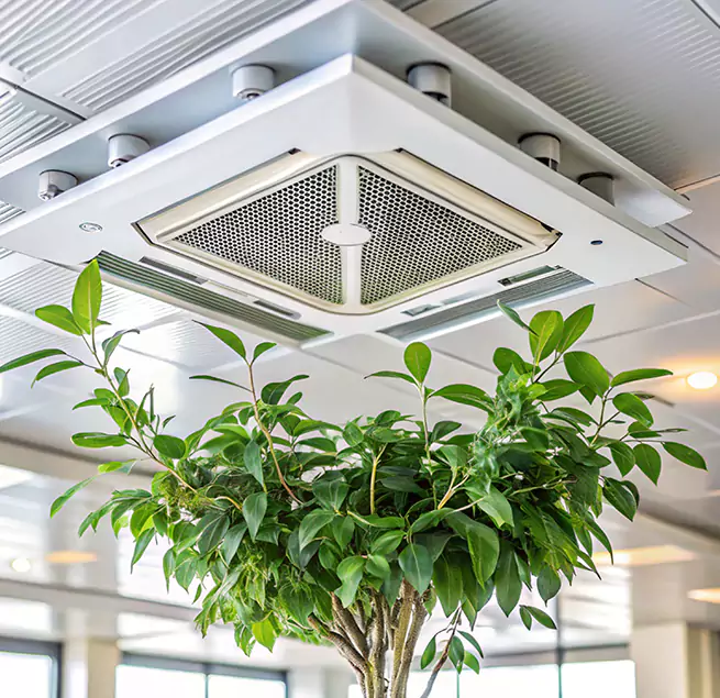 Why Homeowners & Businesses Trust Us in Champlin, MN?