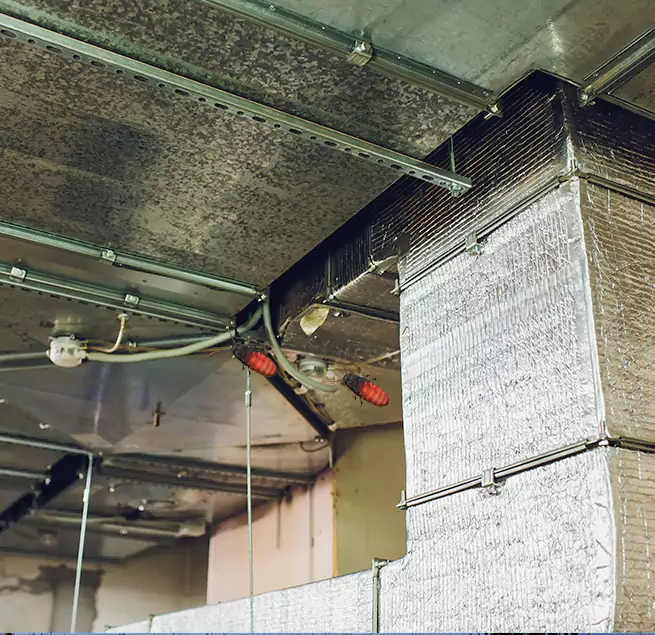 Why Homeowners & Businesses Trust Us Champlin, MN?