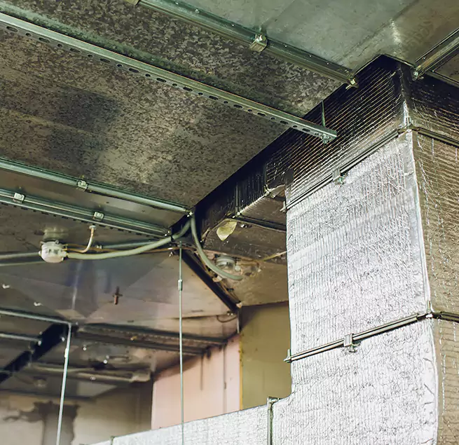 Why Homeowners & Businesses Trust Us in Champlin, MN?