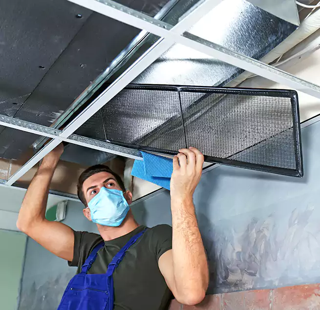 Why Homeowners Businesses Trust Us in Champlin, MN